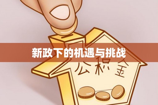 元宝新政下的机遇与挑战