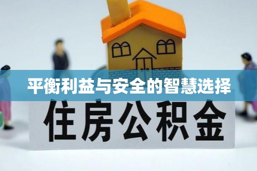 元宝平衡利益与安全的智慧选择