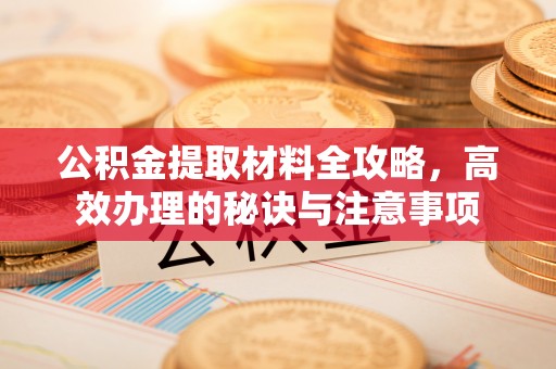 元宝公积金提取材料全攻略，高效办理的秘诀与注意事项