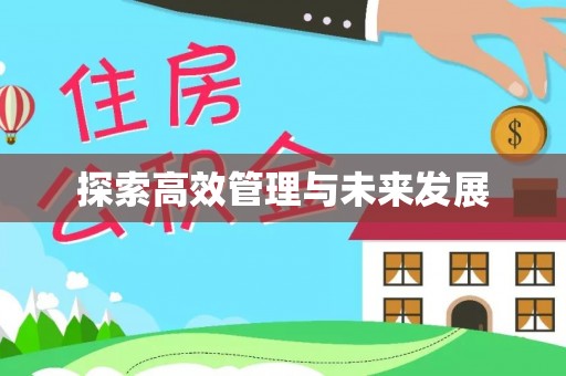 元宝探索高效管理与未来发展