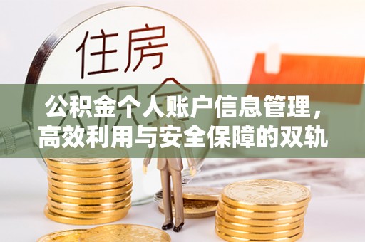 元宝公积金个人账户信息管理，高效利用与安全保障的双轨并行