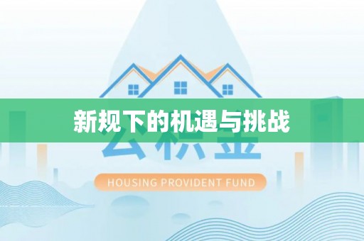 元宝新规下的机遇与挑战