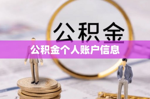 元宝公积金个人账户信息
