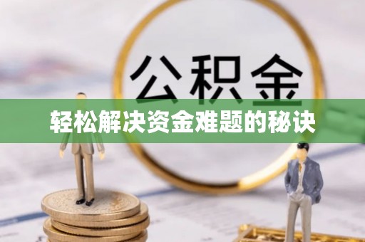 元宝轻松解决资金难题的秘诀