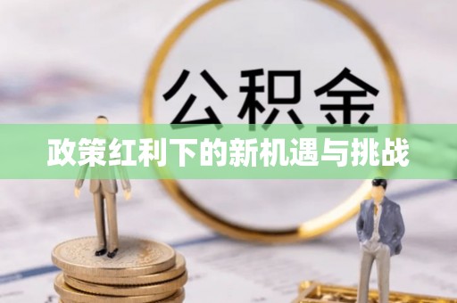 元宝政策红利下的新机遇与挑战