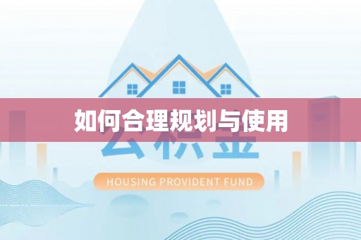元宝如何合理规划与使用