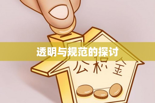 元宝透明与规范的探讨
