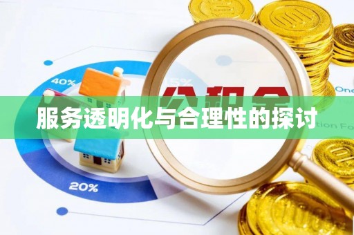 元宝服务透明化与合理性的探讨
