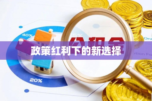 元宝政策红利下的新选择