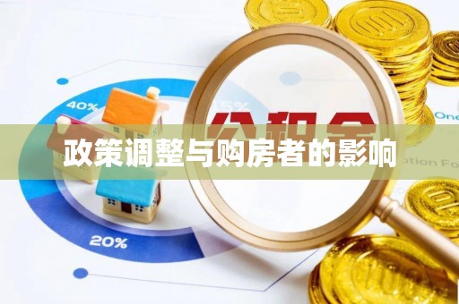 元宝政策调整与购房者的影响