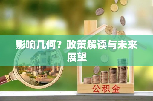 元宝影响几何？政策解读与未来展望