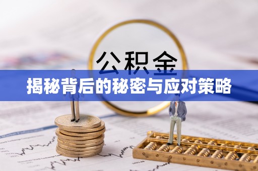 元宝揭秘背后的秘密与应对策略