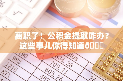 元宝离职了！公积金提取咋办？这些事儿你得知道😎