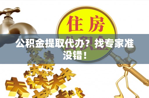 元宝公积金提取代办？找专家准没错！