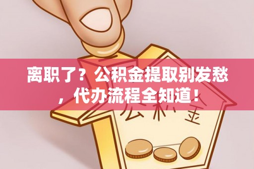 元宝离职了？公积金提取别发愁，代办流程全知道！