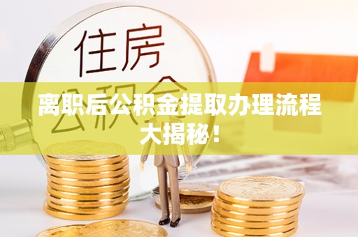 元宝离职后公积金提取办理流程大揭秘！