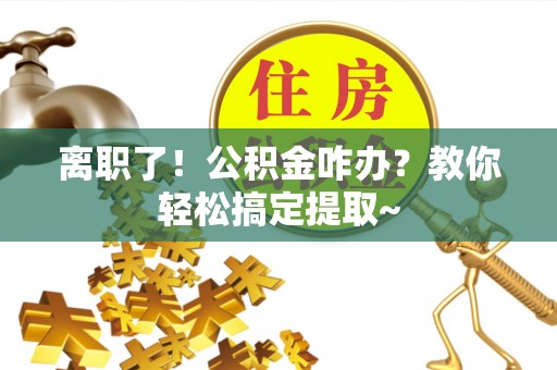 元宝离职了！公积金咋办？教你轻松搞定提取~