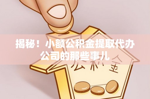 元宝揭秘！小额公积金提取代办公司的那些事儿