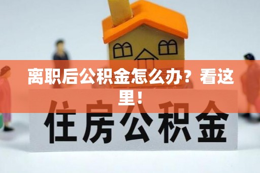 元宝离职后公积金怎么办？看这里！