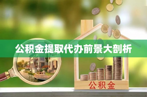 元宝公积金提取代办前景大剖析