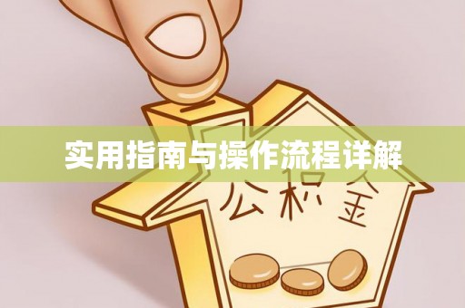 元宝实用指南与操作流程详解
