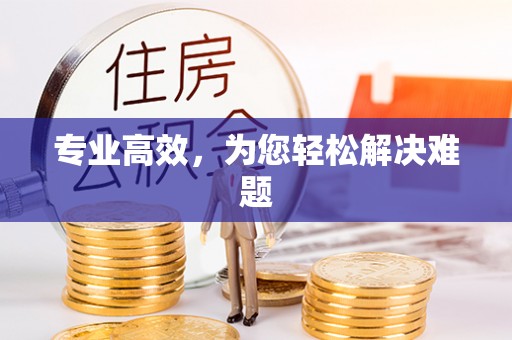 元宝专业高效，为您轻松解决难题