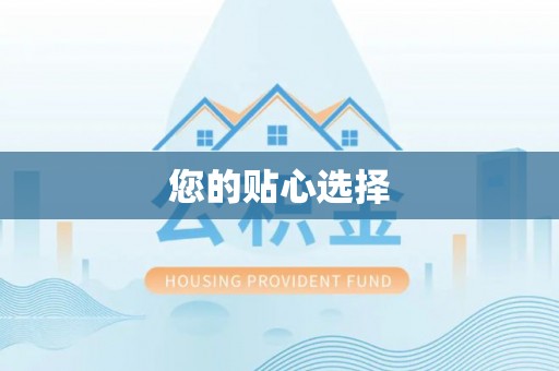 元宝您的贴心选择