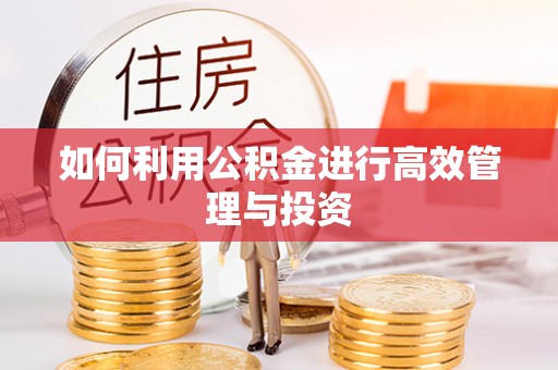 元宝如何利用公积金进行高效管理与投资