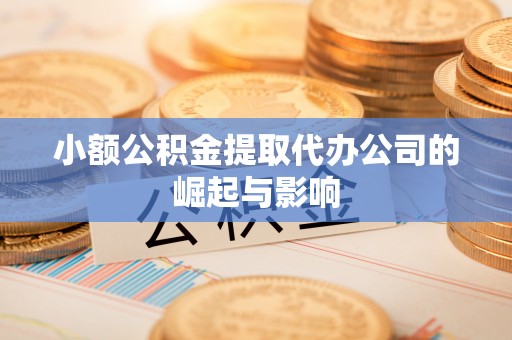 元宝小额公积金提取代办公司的崛起与影响