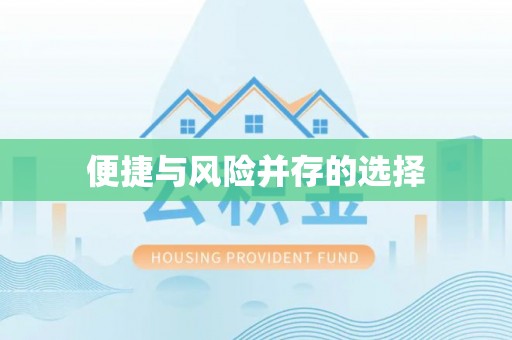 元宝便捷与风险并存的选择