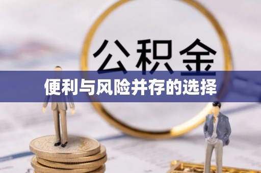 元宝便利与风险并存的选择