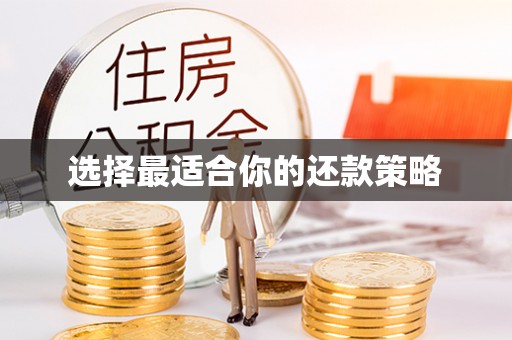 元宝选择最适合你的还款策略