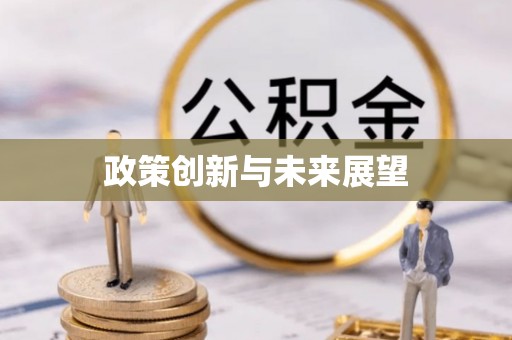 元宝政策创新与未来展望