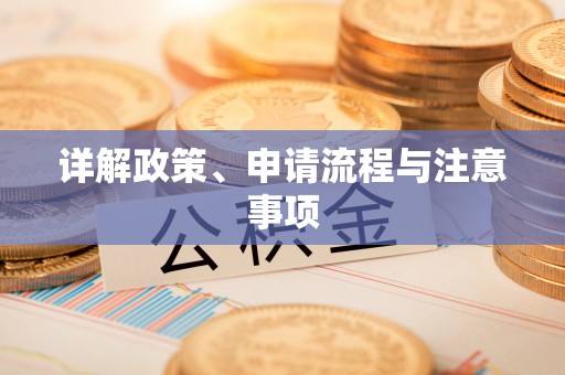 元宝详解政策、申请流程与注意事项