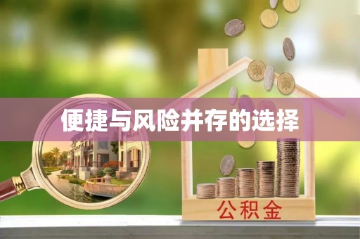 元宝便捷与风险并存的选择