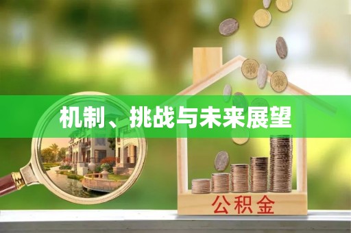 元宝机制、挑战与未来展望