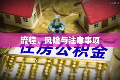元宝流程、风险与注意事项