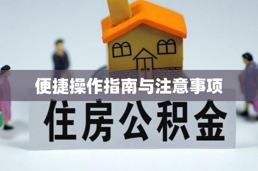 元宝便捷操作指南与注意事项