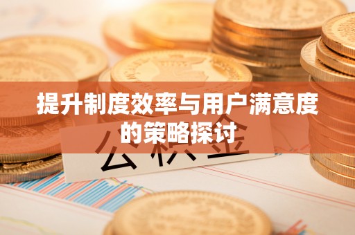 元宝提升制度效率与用户满意度的策略探讨