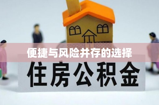 元宝便捷与风险并存的选择