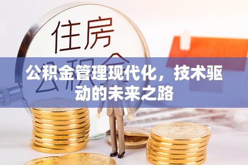 元宝公积金管理现代化，技术驱动的未来之路