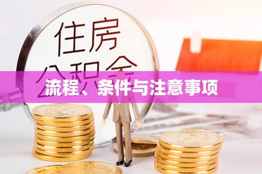 元宝流程、条件与注意事项