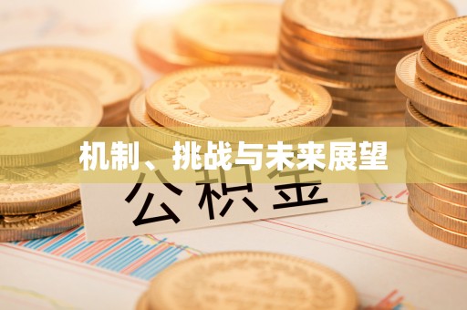 元宝机制、挑战与未来展望
